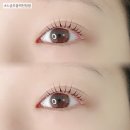 대전속눈썹 뷰티바이밍