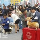 멍이랑 양이랑 이미지