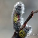 버들하우스 이미지