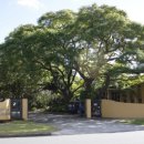 써니 SCHOOL 이미지