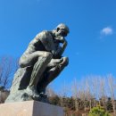 세종전의묘목협동조합 이미지