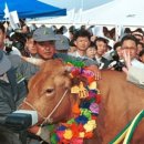 고향산천농장 이미지