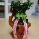 모아경로당 이미지