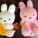 남악 뽑기 언니 이미지