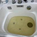 고양이미용 우다다냥 이미지