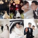 6. 본식 스냅도 육각형 업체로 찾고 싶은 나야 나 / 더메이드플러스 짝꿍 찾아요 :)