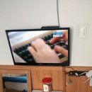 세솔팬션 네이버블로그