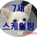 운정한빛동물병원 이미지