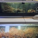 바다포차 | 부산 해운대 바다포차 내돈내산 후기