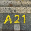 A-21 이미지