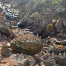 관악산 자연학습장 화장실 | 관악산 초보 등산 코스 연주대 소요시간 주차 화장실 매점 위치