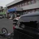 동해면사무소 이미지