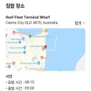 호주 케언즈 그레이트 베리어 리프 스노클링 투어 후기