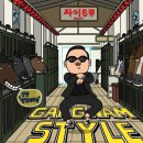 강남스타일 - 경산시 | 강남스타일