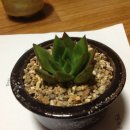 동운농장 이미지