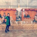 형진농장 이미지