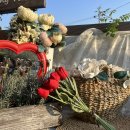 바다다음79 이미지