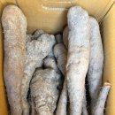 동윤농장 이미지