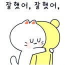 우림미디어 이미지