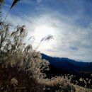 백수광부 이미지