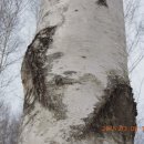 인제03-3 이미지