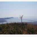 웅천북3로 이미지