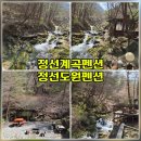 힐링펜션 | [[정선도원펜션]]정선 도원펜션 계곡 바로 앞! 여름 물놀이 가능한 힐링 계곡펜션 후기 🏞️