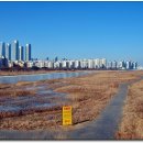 송도 달빛공원 이미지