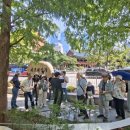 종로에서 18세기 사람들을 만났다!