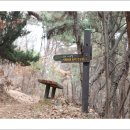 사화체육공원 이미지