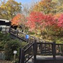 신선동-11 이미지