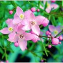 봄날세탁 이미지