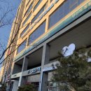 화서동물병원 | 수원 천천동 당신의 동물의료센터 말티즈 심장병 진료 후기