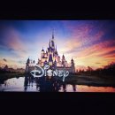 요즘 동물의 왕국?ㅋㅋ 이미지