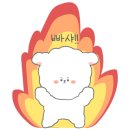 코코애견펜션 이미지