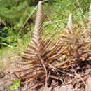 공생한의원 이미지