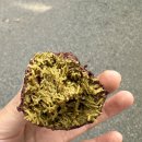 리니 | 고양시 일산 밤리단길 두바이쫀득쿠키 리니베이크 주말 웨이팅 내돈내산 후기