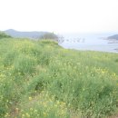 청산도 광주민박 이미지