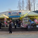 인더라인25시편의점 이미지