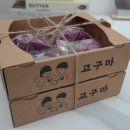 쌀로디 이미지