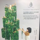네파문정 이미지