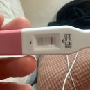 연분홍약국 이미지