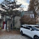 청주 고양이 카페 유기묘카페 캣인큐브