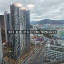 양덕동301 이미지