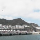 홍도엘도라도 이미지