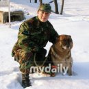 한국디엠 이미지