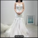 라벨메종 | 어반스튜디오 메종클로이 슬림 기본라벨 드레스 촬영 후기