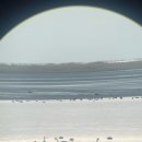 사하구 강변대로 이미지