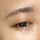 아이스크레이지 | 하킷 아이 섀도우 팔레트 인생 12컷 홀리몰리 레이어 팔레트 후기