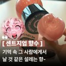 라니글로벌 | 센트지엄 뽀송 오드 앰브록사이드 50ml, 예술 작품 같은 니치향수 솔직 후기!